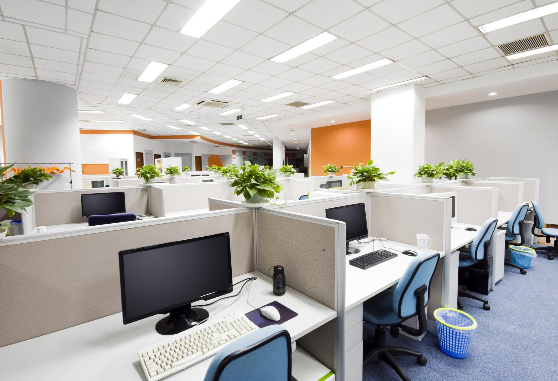 Professional Commercial Cleaning Services in South Auckland